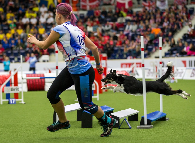 Foto: MS Agility 2023