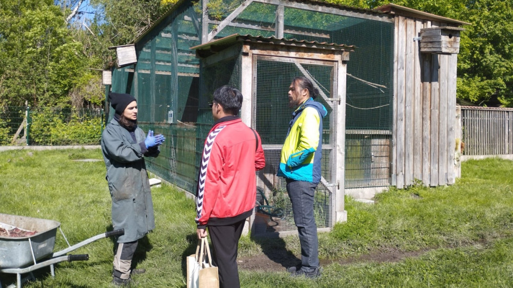 Exkurze v chovném centru na orlosupy bradaté v Haringsee, foto: Jan Hanel