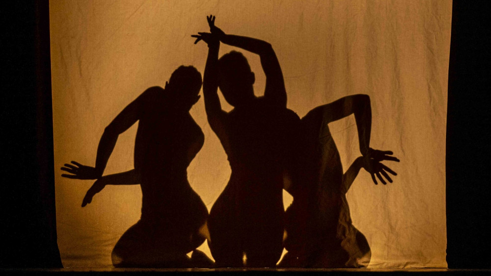 Liberecké divadlo F. X. Šaldy uvede balet Sylf, foto: Artur Irma