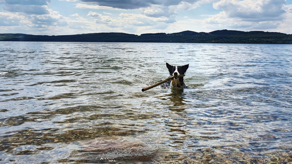 Olbersdorfer See, foto: LK