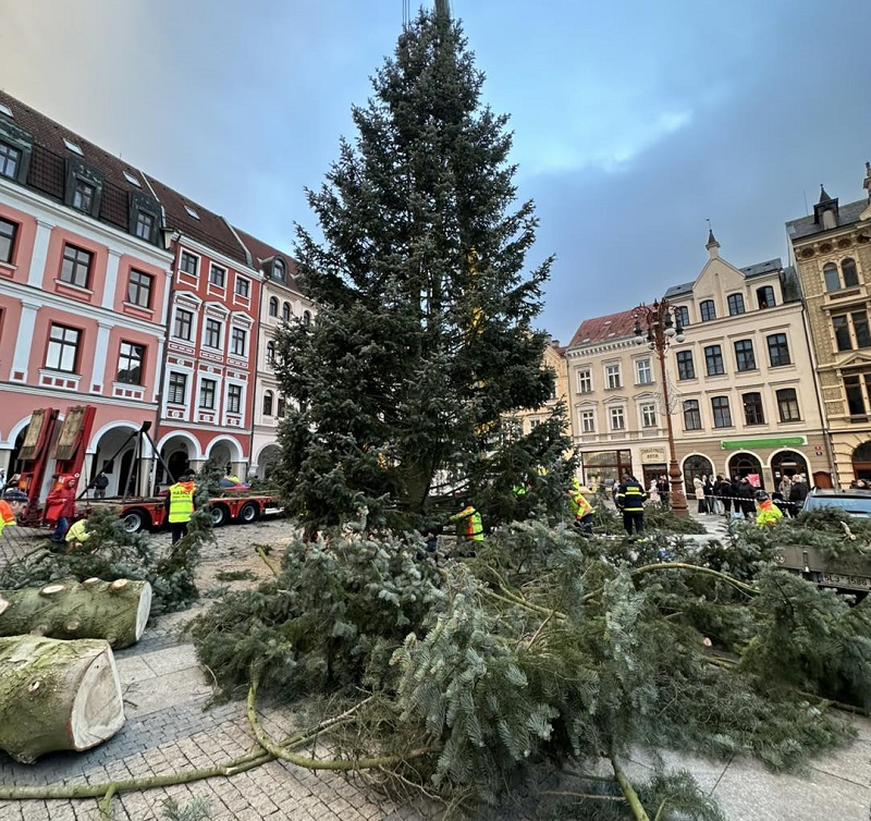  Letošní vánoční jedle pro Liberec byla na náměstí u radnice dopravena už o víkendu. Foto z FB Elset.