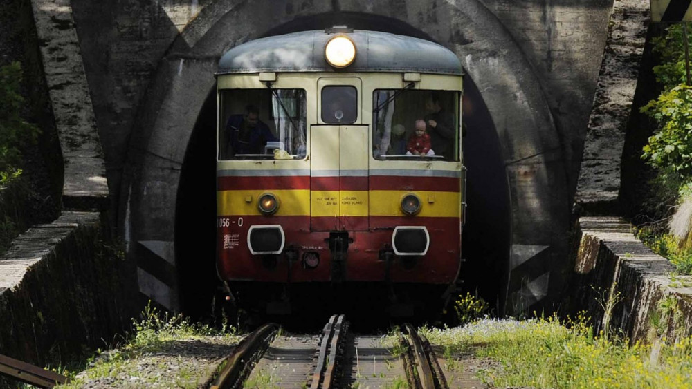 Zubačka, foto: Artur irma