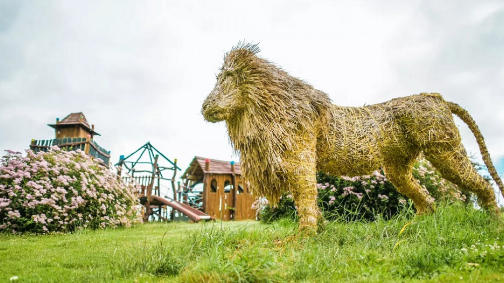 Foto z www.kudyznudy.cz