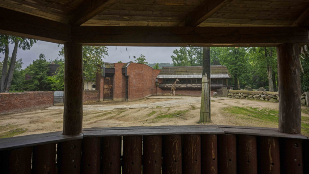 Pavilon žiraf a zeber v liberecké zoo, foto: Artur Irma