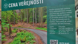 Výstava