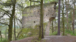 Vitkovec1