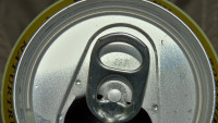 pivoPlech