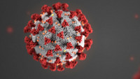 coronaCDC-coronavirus