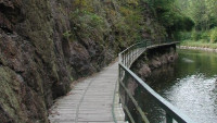 riegerovastezka