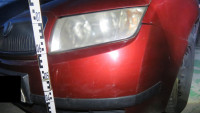 dnauto