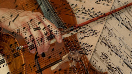 violoncello