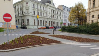 vysadba1MML
