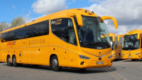 RegioJet-BUs