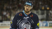 Vitásek