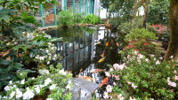 botanická2