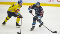 hokejpavlik