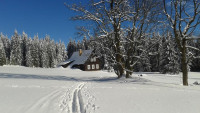 Albrechtice