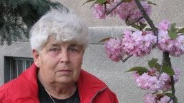 Žitná
