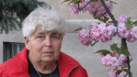 Žitná