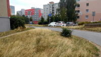 travaRochlice2