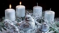 adventNew
