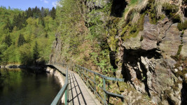 RiegerstezkaLK
