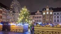 LBadvent2020stromek2