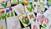 tulipAmel1
