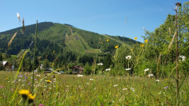 harrachov