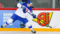 hoZvolen