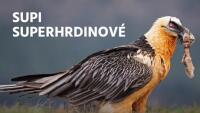 DRavcisup06