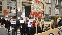 protestskola4