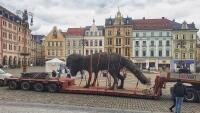 vulpesFBLibereccz