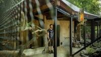 ZOO-1