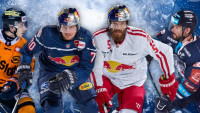 redBulls