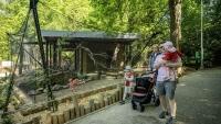 ZOO-3