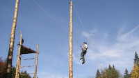 adrenalin