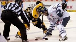 bruins