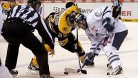 bruins