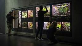 zooexpozice 1