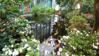 botanická2