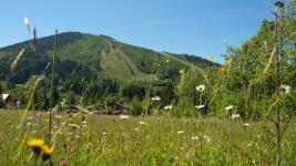 harrachov