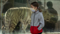 zoootevř2