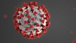 coronaCDC-coronavirus