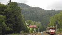 Jedlova