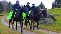 koněPolicie