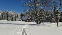Albrechtice