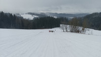 skutr