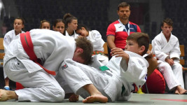 ODM2judo2