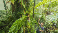 botanka23